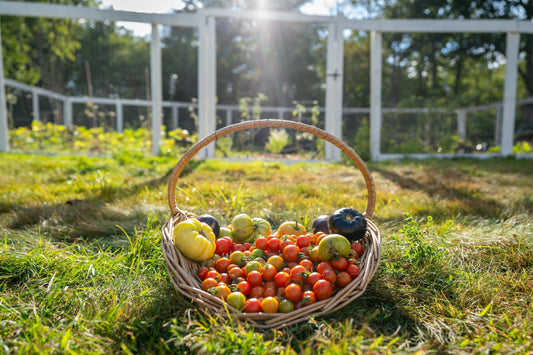 Why We Started Growing All Our Own Food