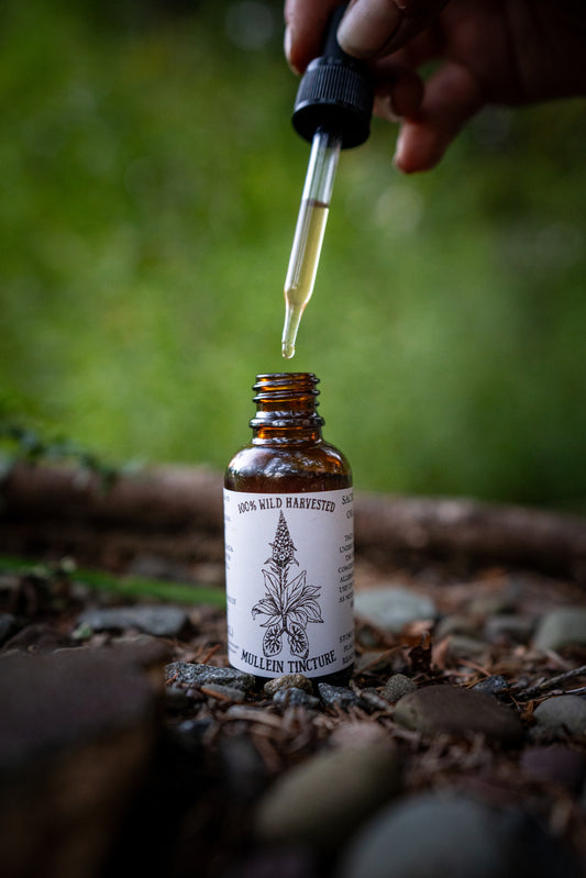Mullein Tincture