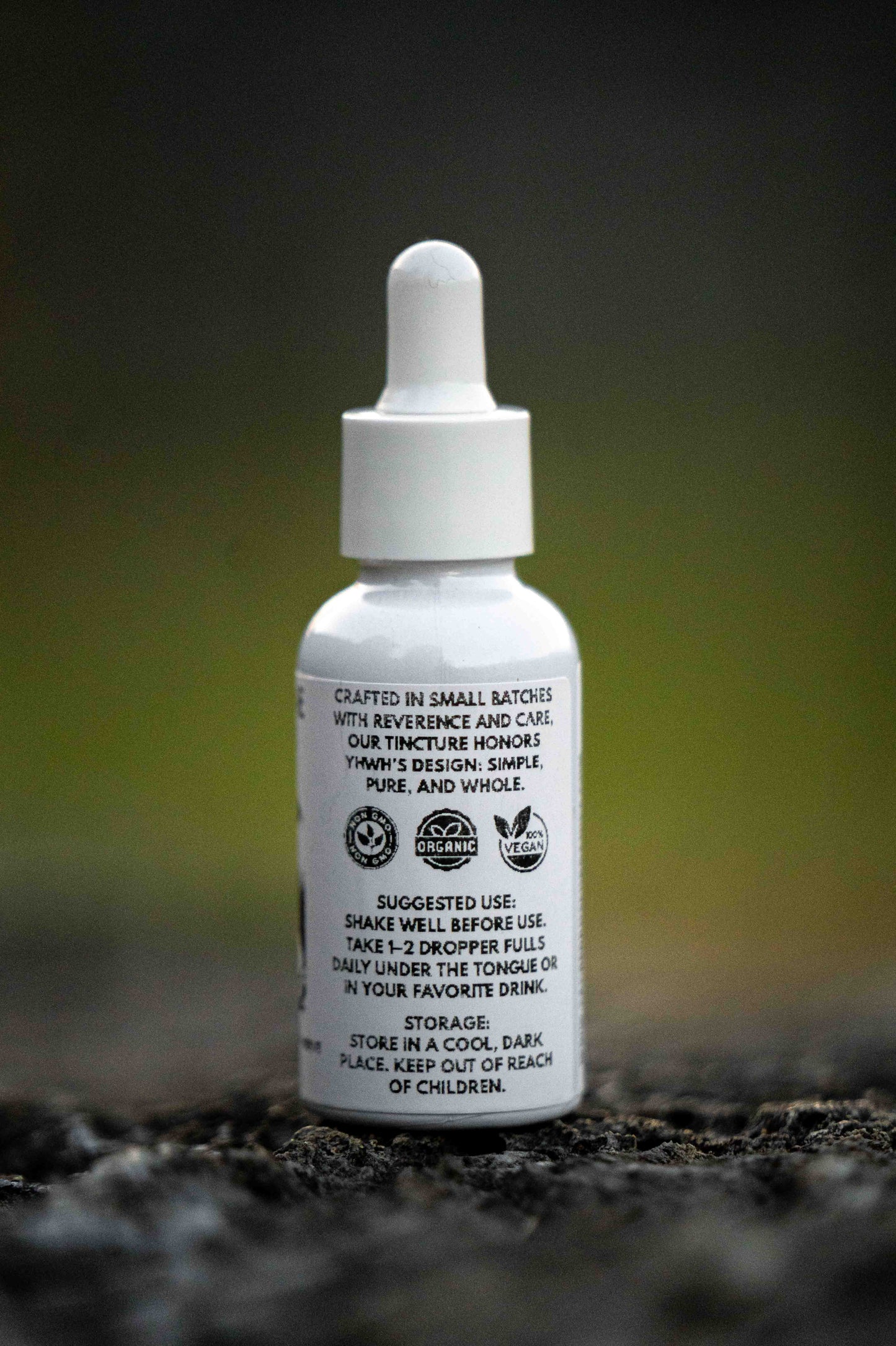 Lion's Mane Tincture