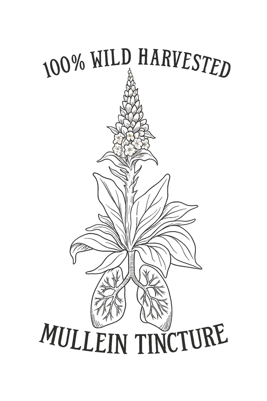 Mullein Tincture