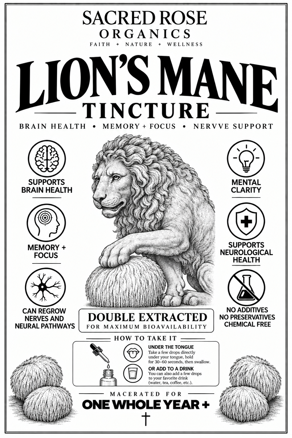 Lion's Mane Tincture