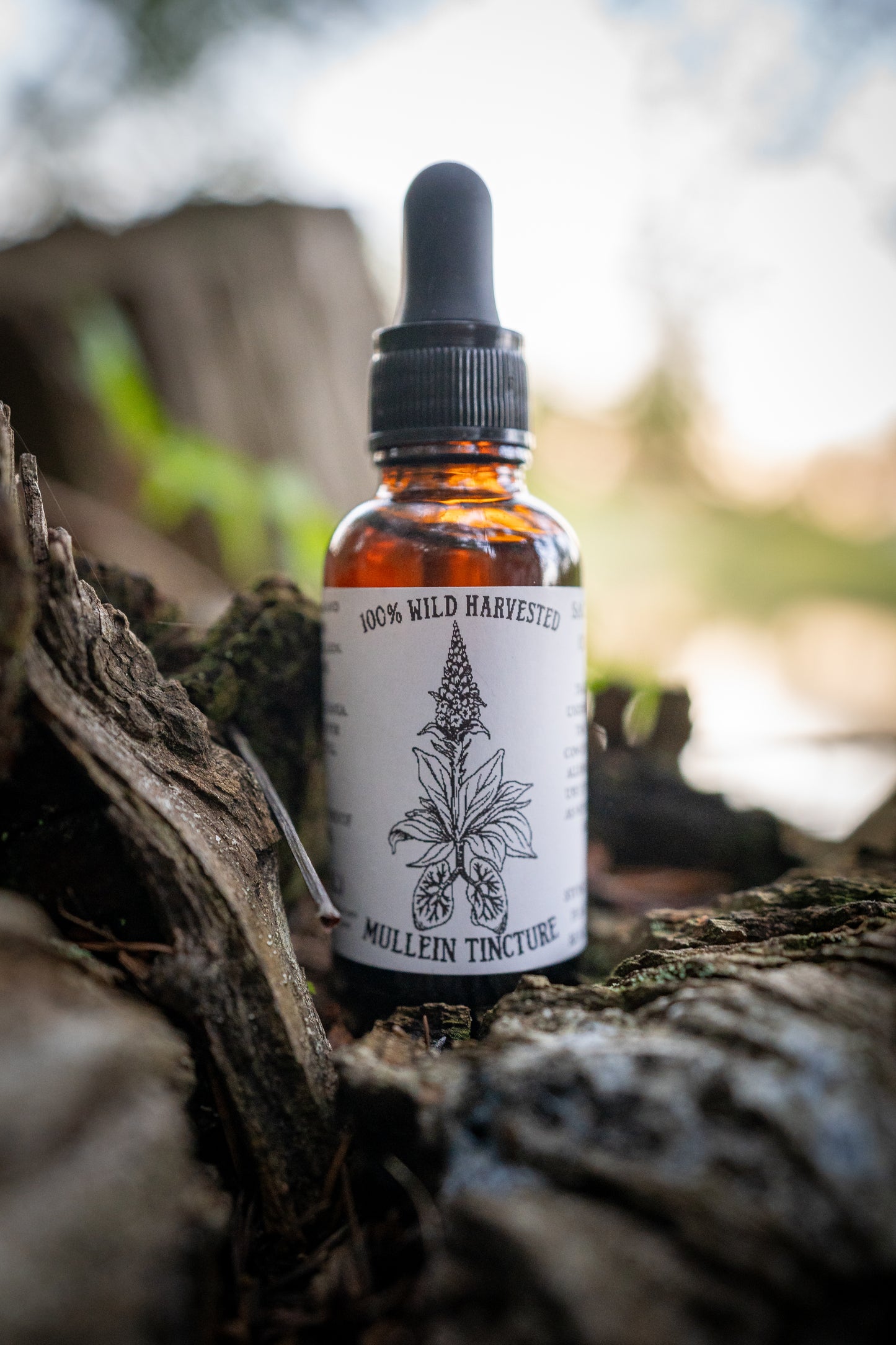 Mullein Tincture