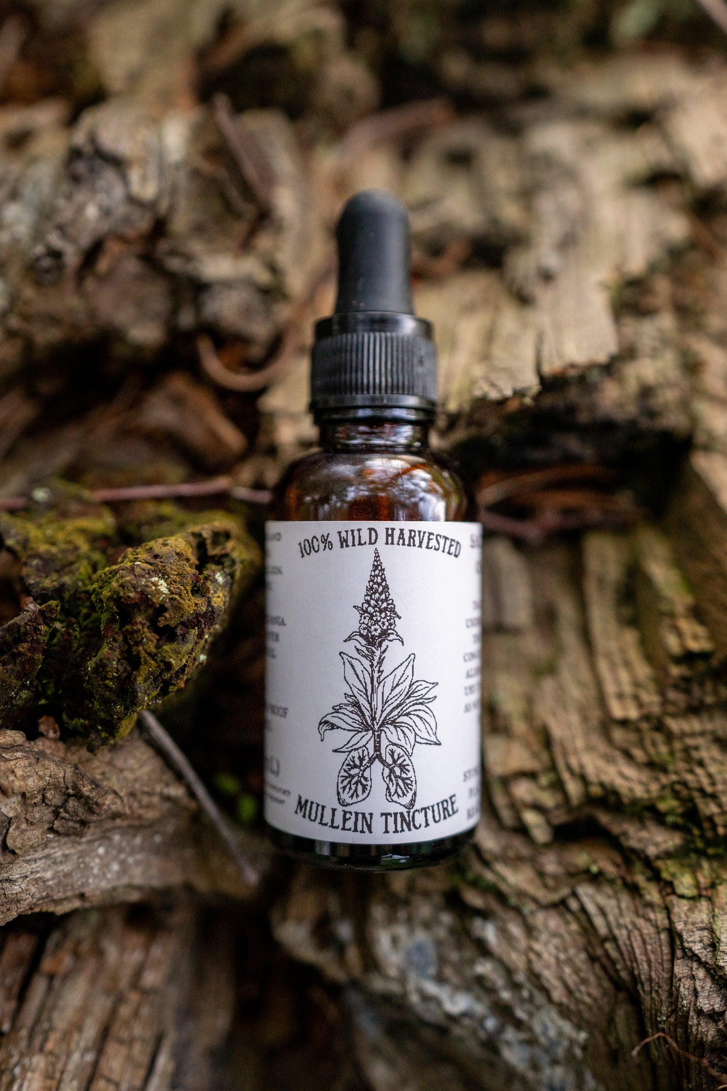 Mullein Tincture