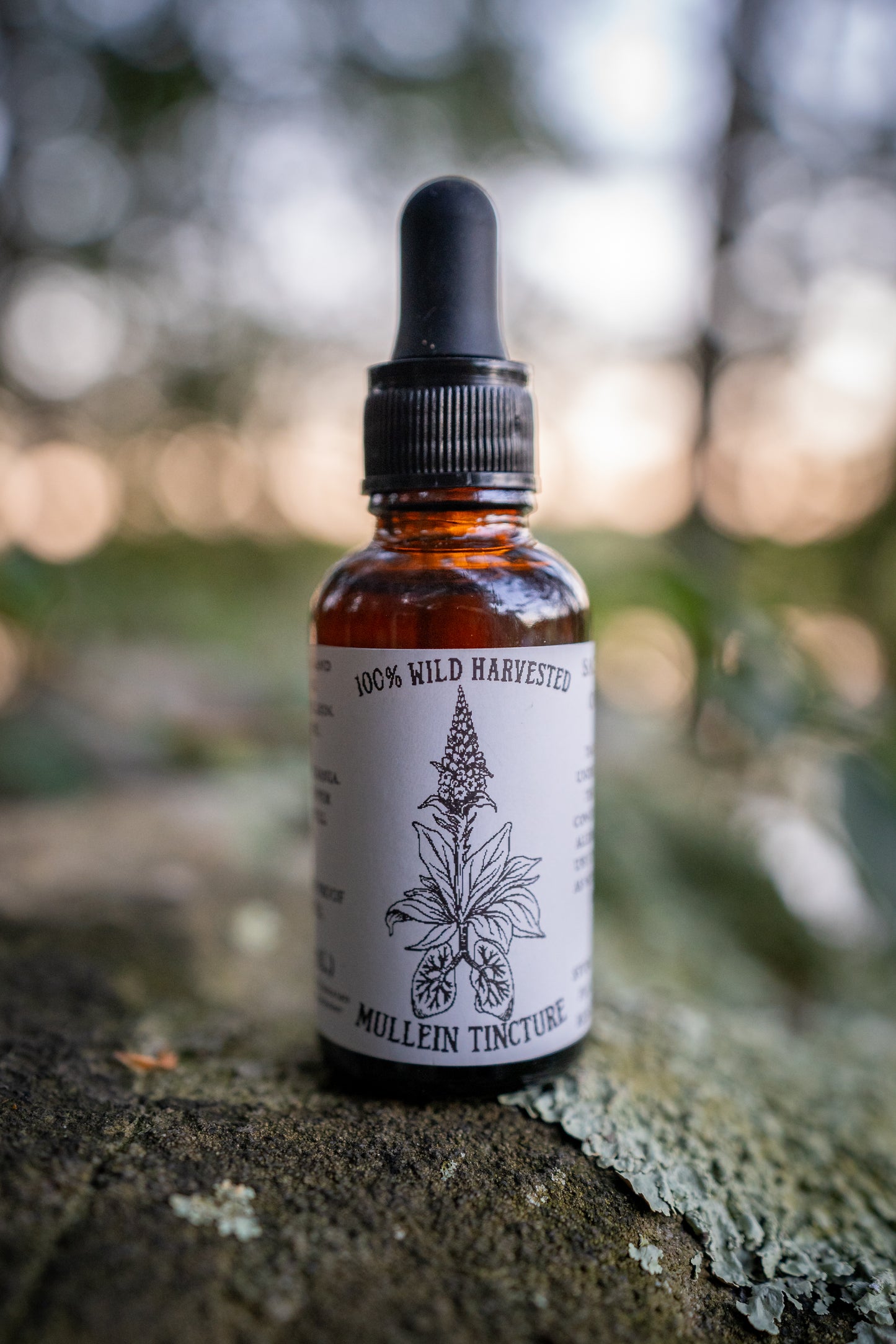 Mullein Tincture