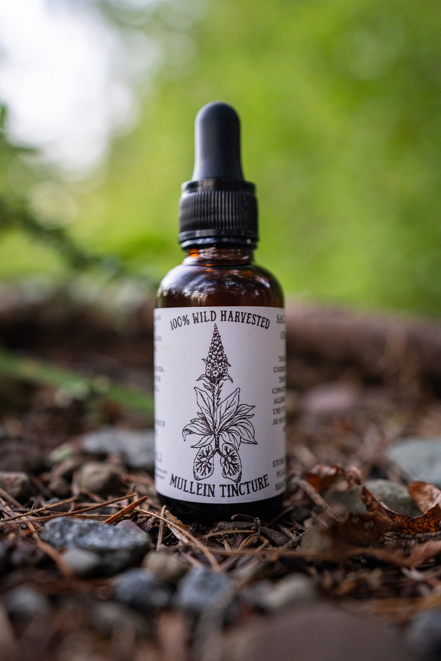 Mullein Tincture