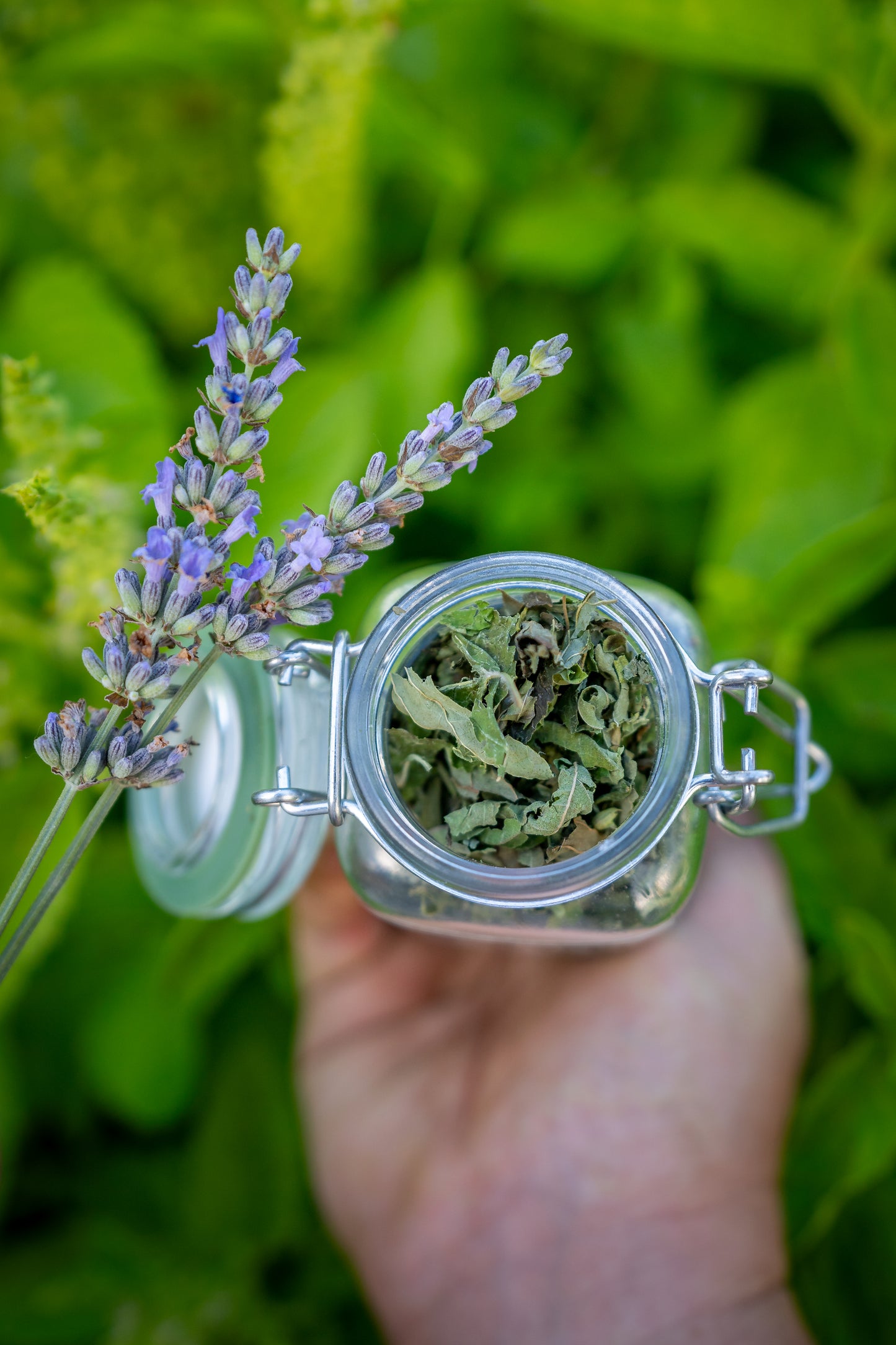 Relaxation Tea