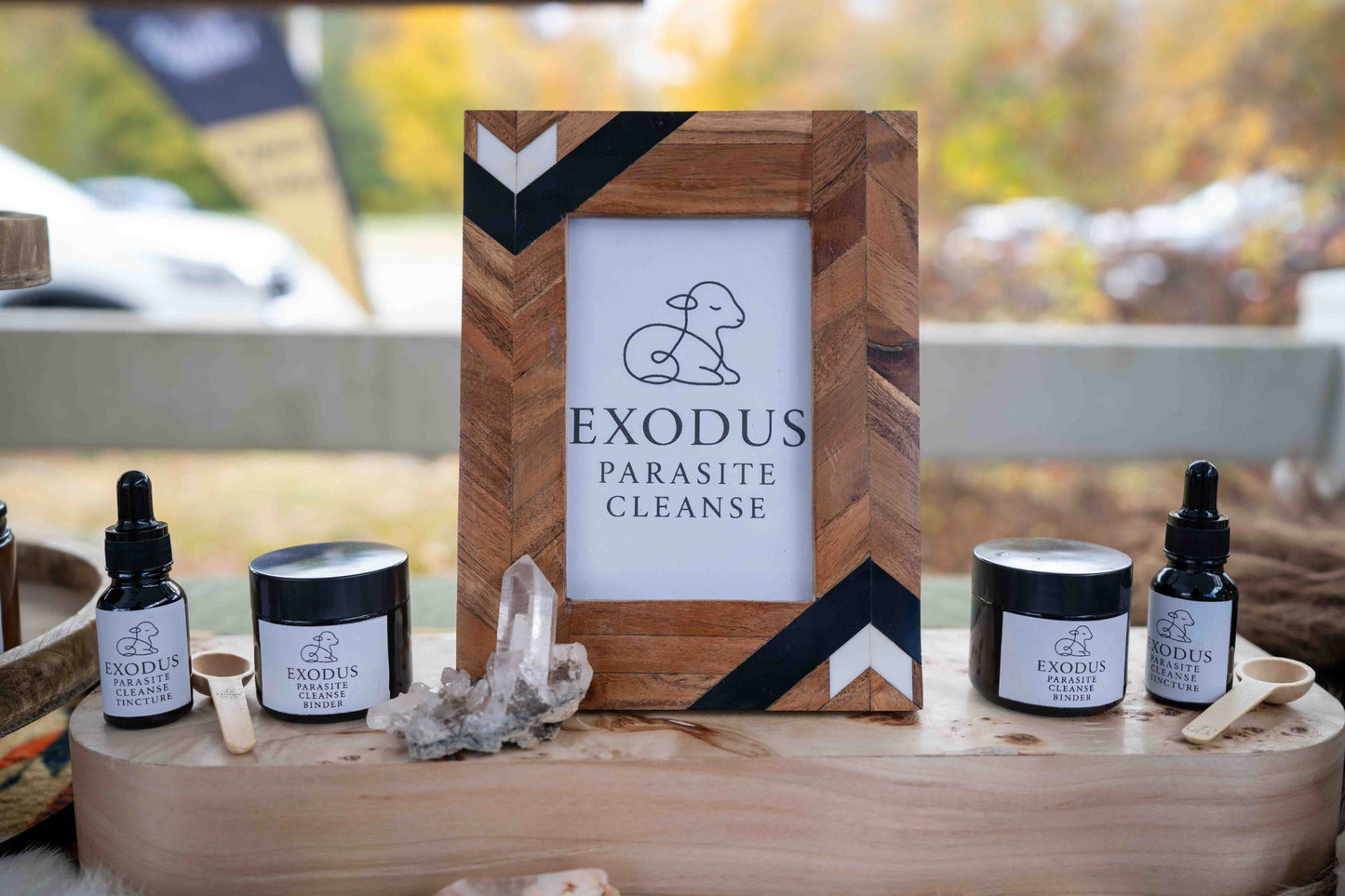 Exodus Parasite Cleanse