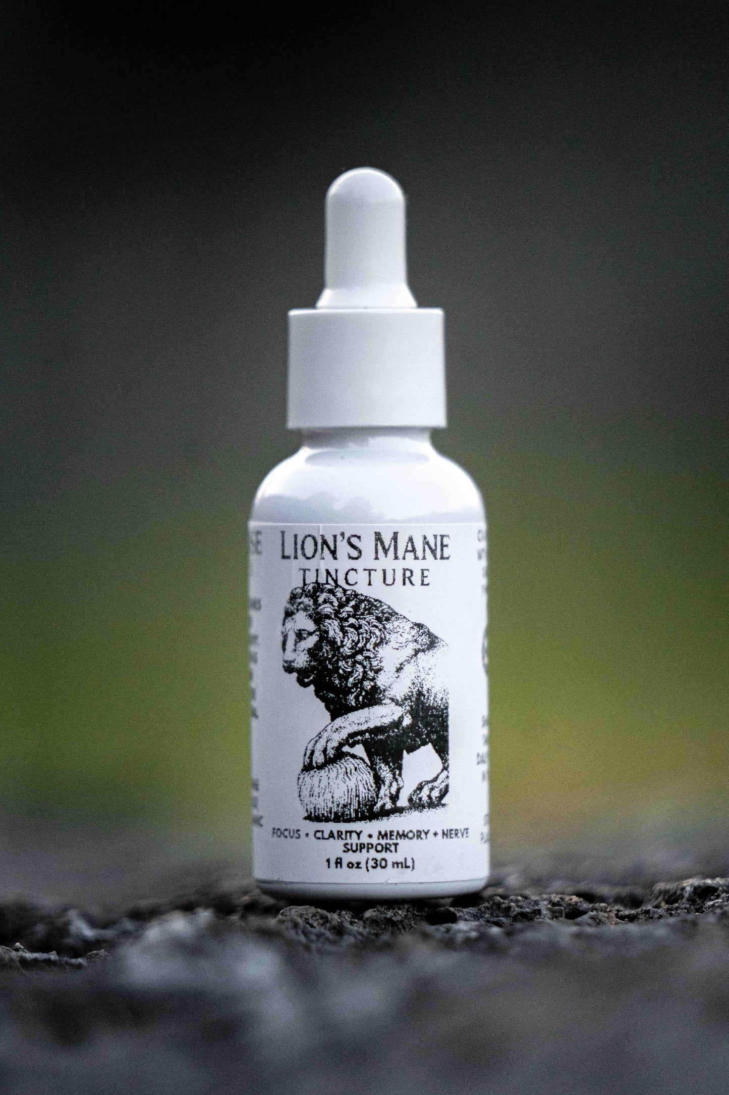 Lion's Mane Tincture