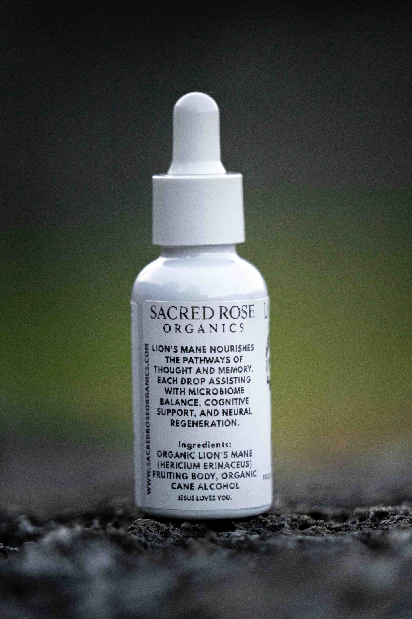 Lion's Mane Tincture