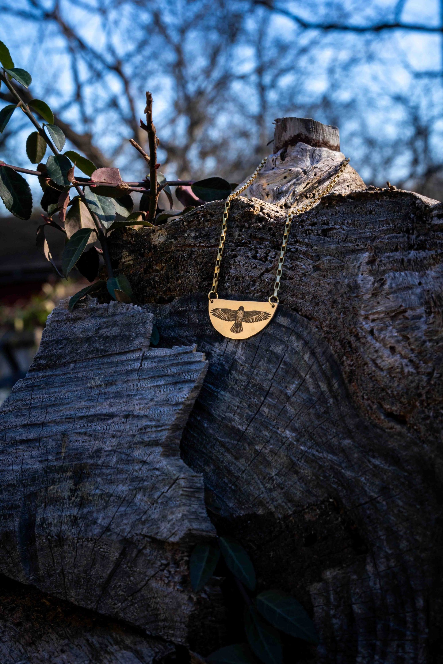 Red Tail Hawk Engraved Brass Necklace