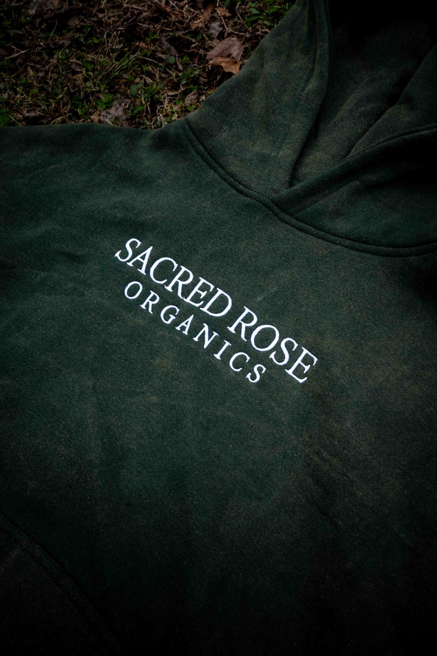 Proverbs 28:1 Sweatshirt Hoodie Heavyweight Embroidered Pullover