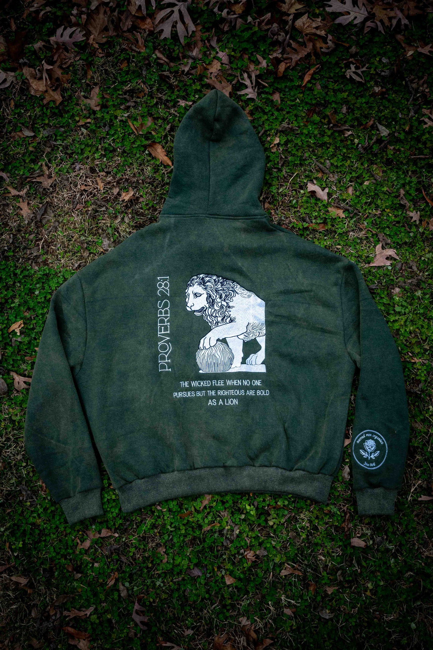 Proverbs 28:1 Sweatshirt Hoodie Heavyweight Embroidered Pullover