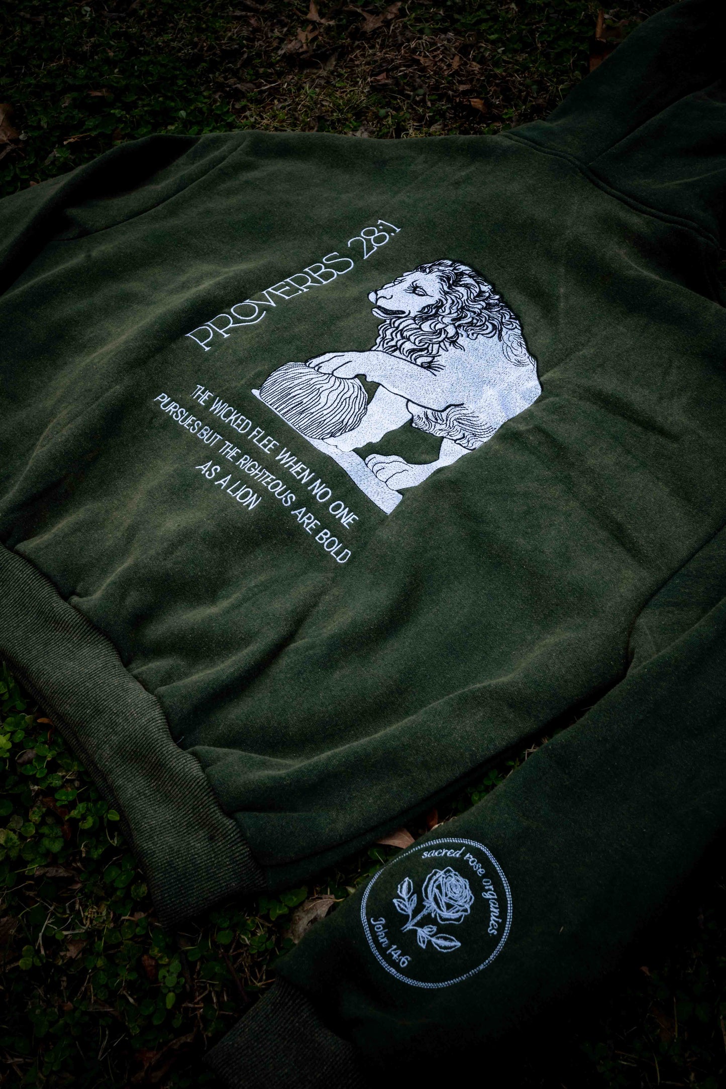 Proverbs 28:1 Sweatshirt Hoodie Heavyweight Embroidered Pullover