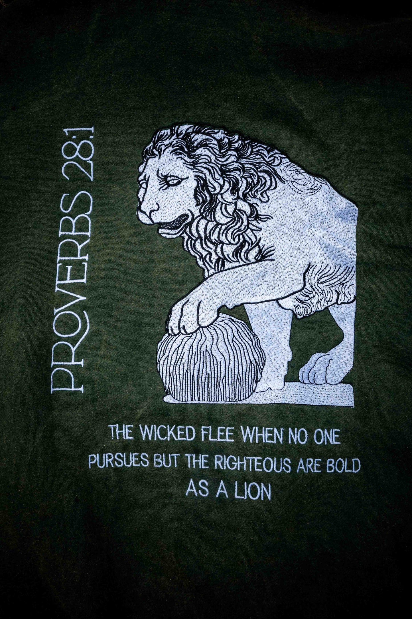 Proverbs 28:1 Sweatshirt Hoodie Heavyweight Embroidered Pullover