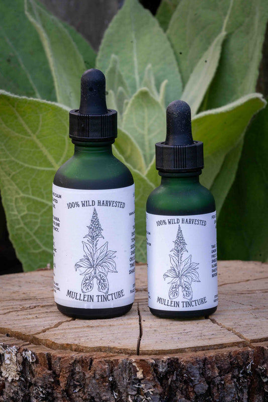 Mullein Tincture