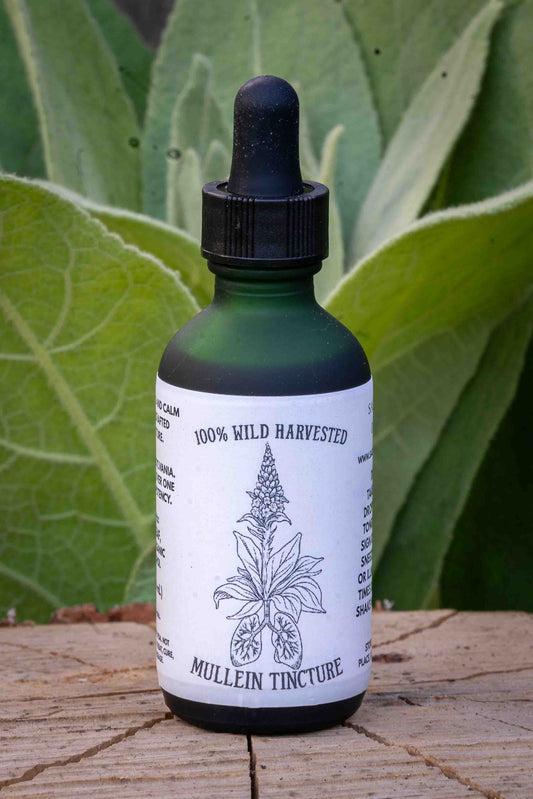 Mullein Tincture