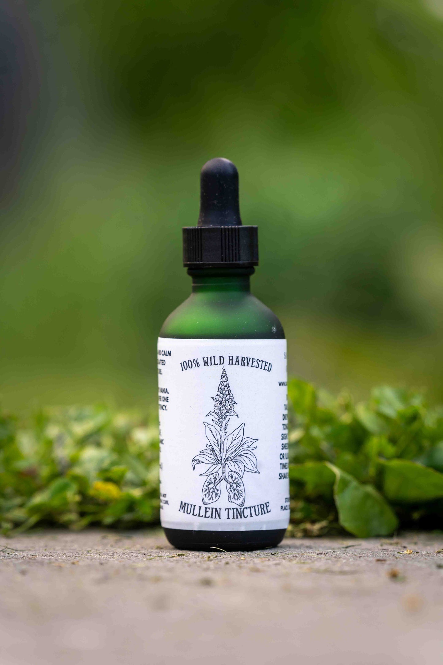 Mullein Tincture