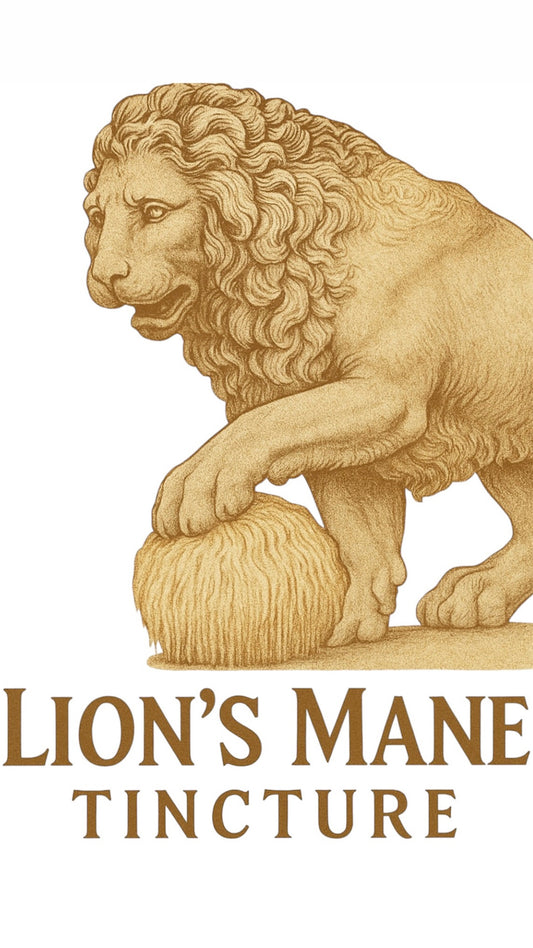 Lion's Mane Tincture
