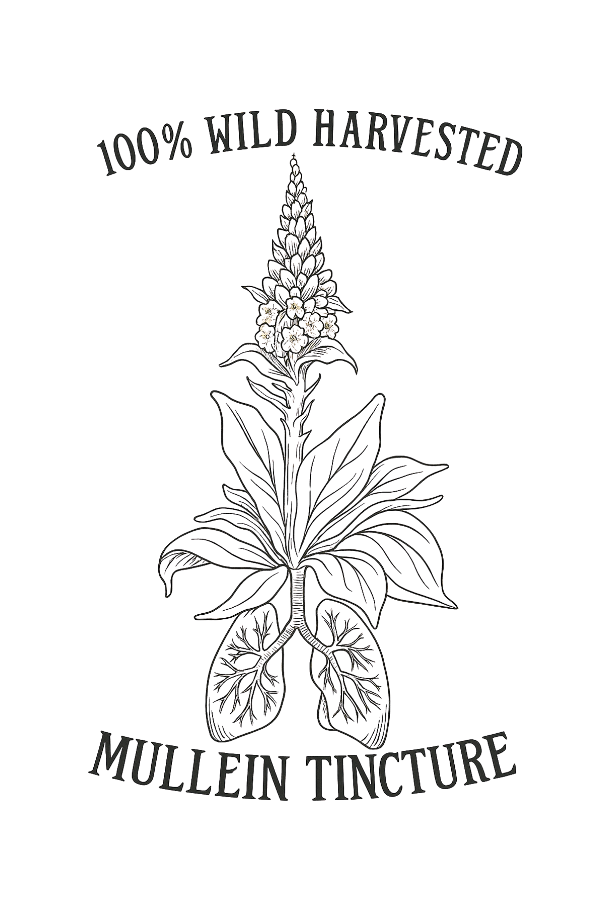 Mullein Tincture